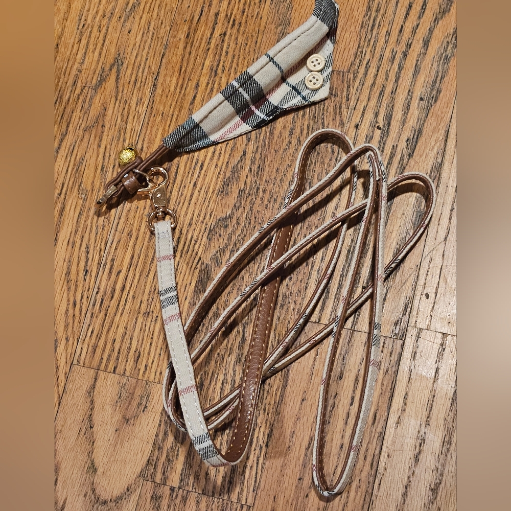 Dog leash and collar for a small dog NWOT